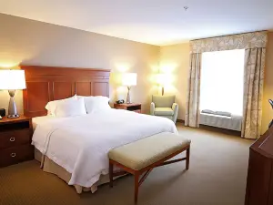 Hampton Inn Detroit/Auburn Hills-North (Great Lakes Crossing Area)