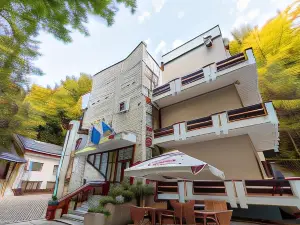 Former Ceausescu's Vila Crizantema