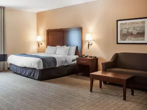 Comfort Inn & Suites Hamburg - Buffalo South