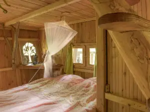 L'arbre à Cabane