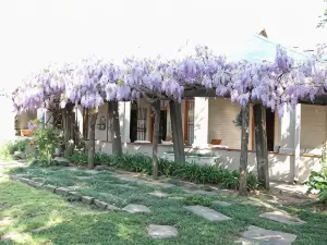 Top House Bed and Breakfast