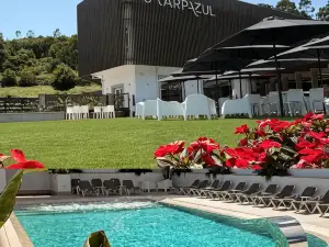 Harpazul