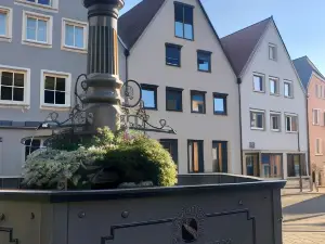 Stadtvilla Apartments Ferienwohnungen Weinsberg