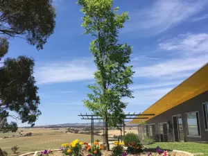 Barossa Pavilions & Glasshouse