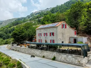 Ferme Auberge du Col de la Vaccia