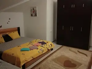 Casa Mocanu