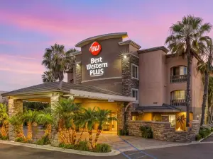 เบสท์เวสเทิร์นพลัส โอเชียนไซด์ปาล์มส