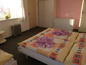Hotel Šrejber
