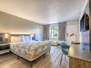 モーテル 6 スプリング ヒル、フロリダ - ウィーキー ワッチー