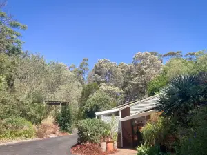 Edge of the Forest Motel