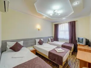 Frant Hotel Zamok