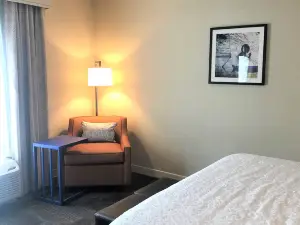 Hampton Inn & Suites Norfolk-Airport