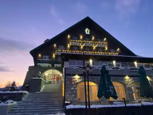 烏蘇爾內格魯別墅