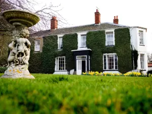 ザ グローブ クローマー