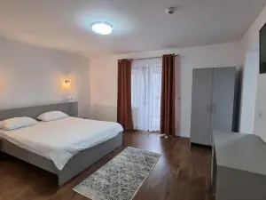 Pensiunea Barsan