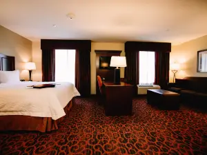 Hampton Inn & Suites Minot Airport