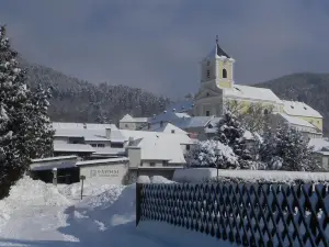 Gasthof Grüner Baum