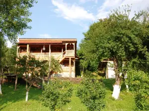 Pensiunea la Gorgan