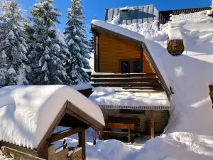 Apartments Dobro