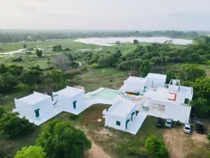 Epic Wild Wilpattu