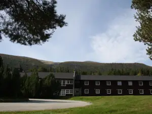 Dovreskogen Gjestegård As