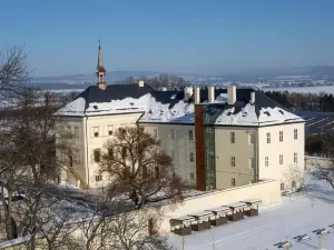 Hotel Zámek Svijany