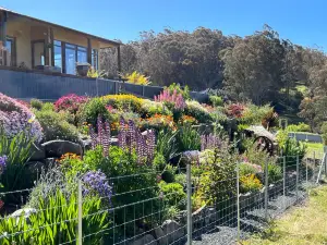 Amaroo with a View Set on a 50 Acre Hobby Farm