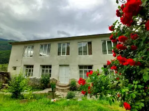 Guesthouse of Irina