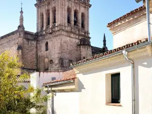 Hotel Ahc Palacio Coria