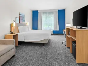 Spark by Hilton Sumter