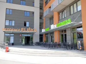 Big Apartman Rezidence Eliska Prague 291