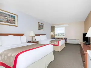 斯特拉斯堡/謝南多厄河谷溫德姆華美達飯店