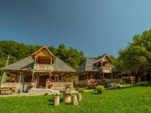 Casutele Din Moisei