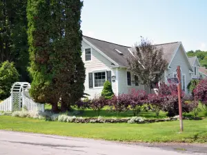 The Lace Curtain Cottage