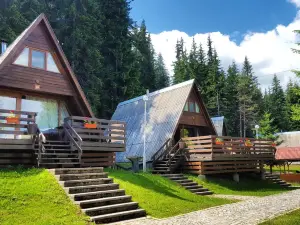 Romantica Forest Guest House