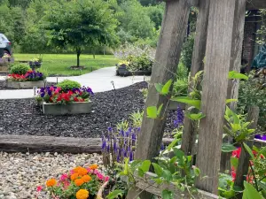 Glenn Meadow Bed and Breakfast