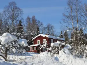 Muses Bnb Bed & Breakfast