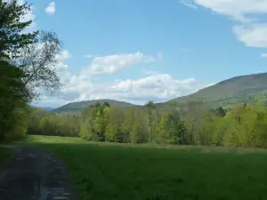 Morning Glory B n B Woodstock NY