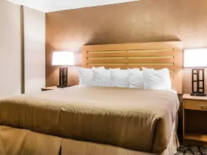 ควอลิตี้ อินน์แอนด์สวีทส์ วอร์เรน - ดีทรอยต์