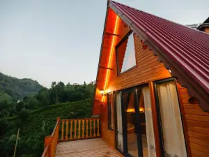 Pafuli Bungalov