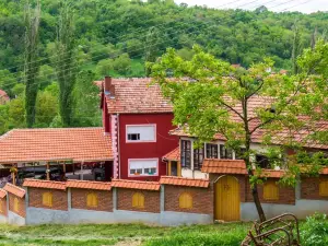 Villa Lola & Nikola