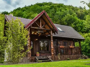 The Little Mountain Cabin