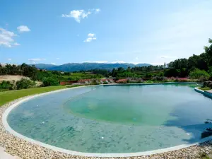 Lavandeira Douro Nature & Wellness
