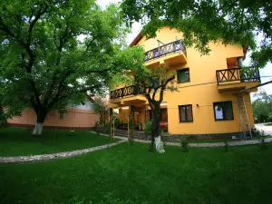 Pensiunea Elena