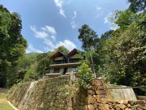 Forest Shade Eco Resort Deraniyagala