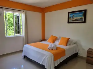Shell Sea B & B