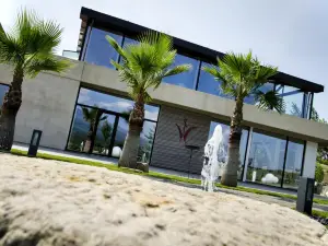 La Fucina di Vulcano