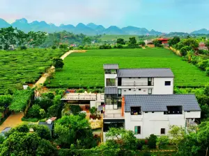 Moc Chau Cottage homestay