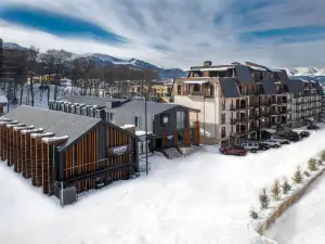 บริสตอล บากูเรียนี