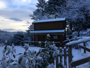 Gîtes les Chalets Vezzani Spa